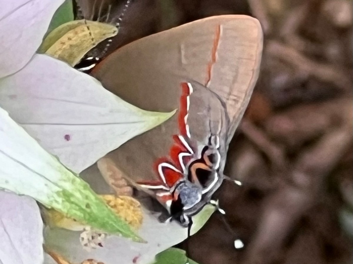 Exploring the Unknown,&nbsp;Nearby