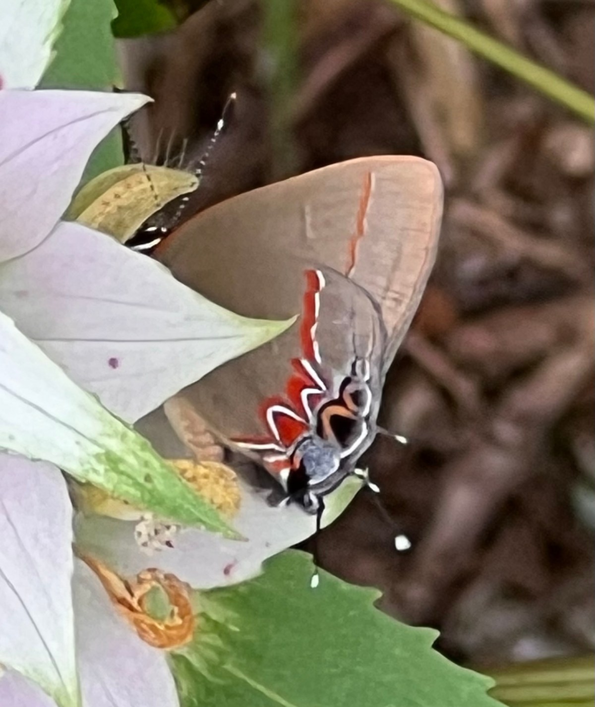 Exploring the Unknown,&nbsp;Nearby