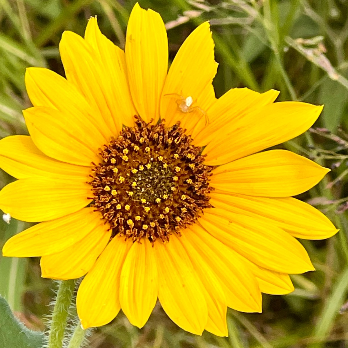 Selecting a Seasonal&nbsp;Preference