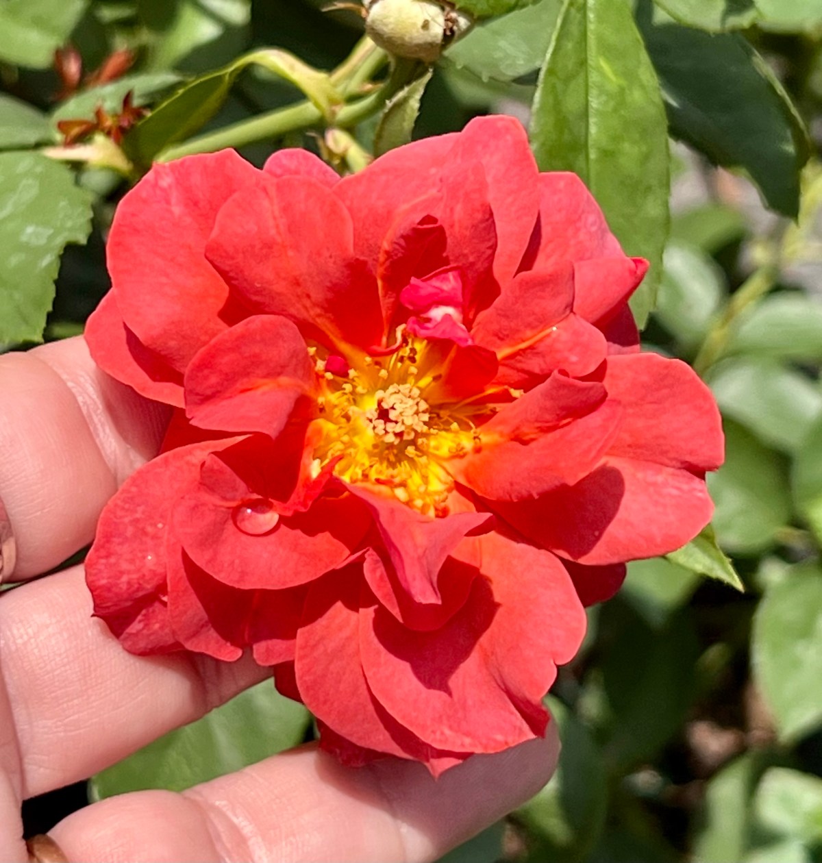 My Favorite Thing about&nbsp;Me