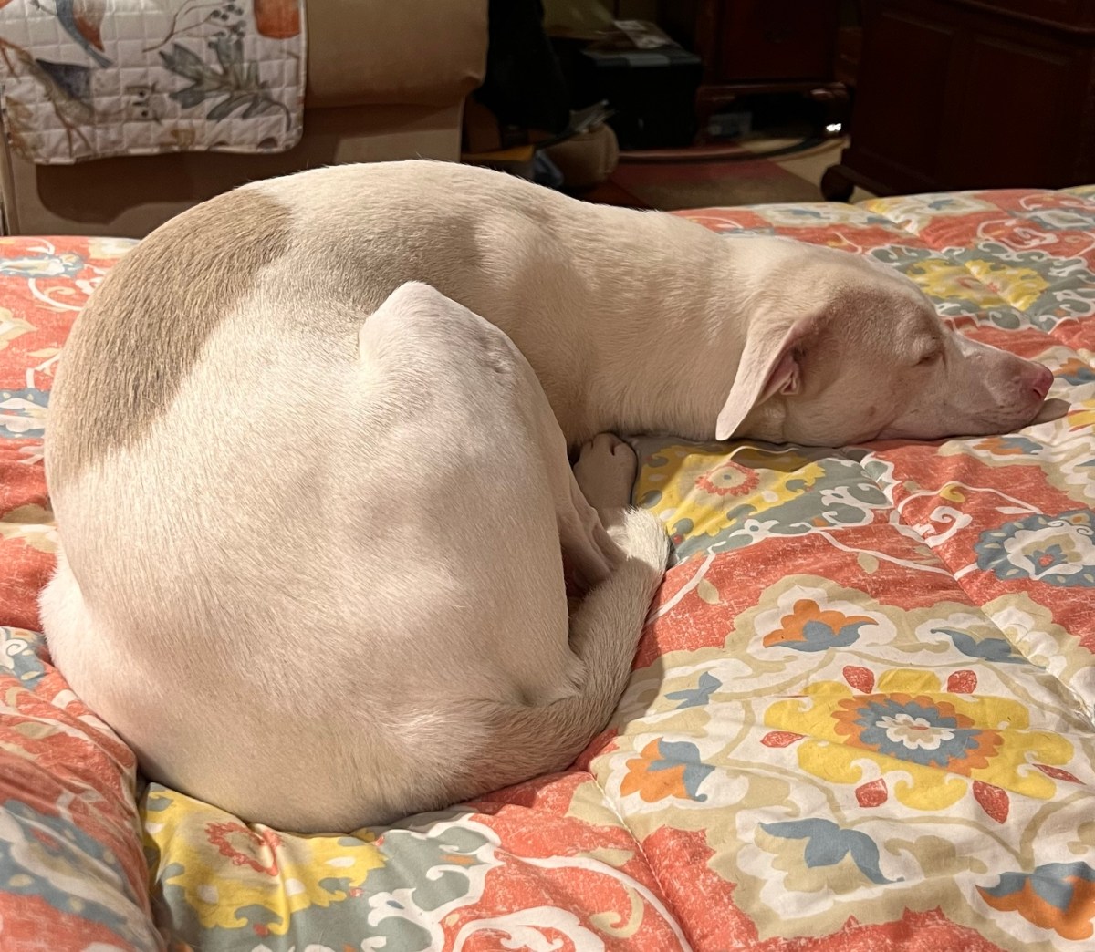 Coincidentally, Coincidences Are&nbsp;Everywhere