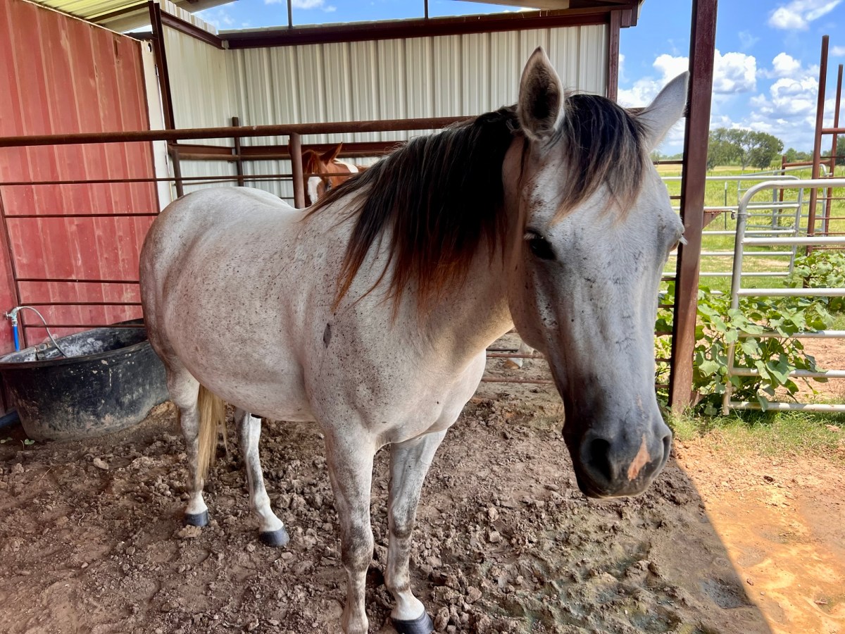 Drew Makes a New&nbsp;Friend