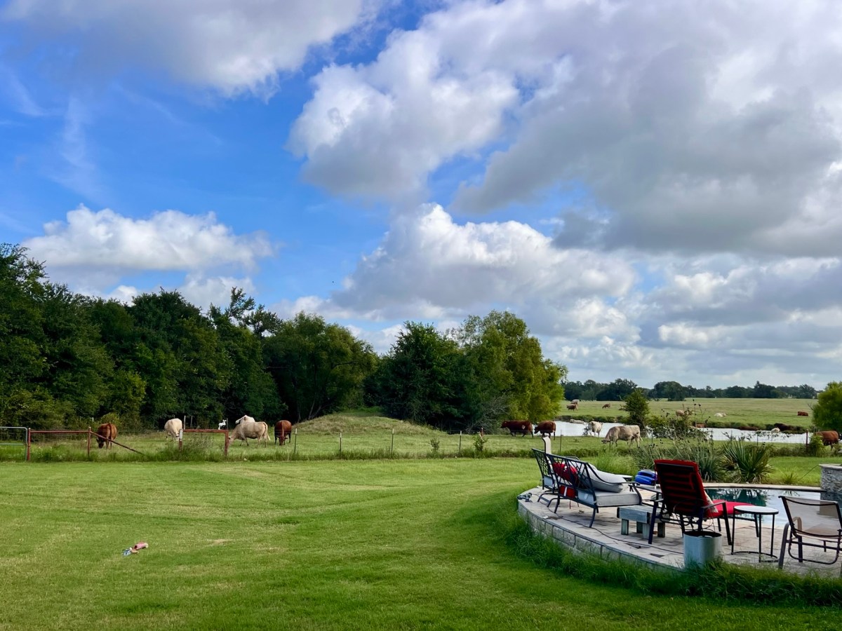 Maybe I’m Not Cut Out for&nbsp;This