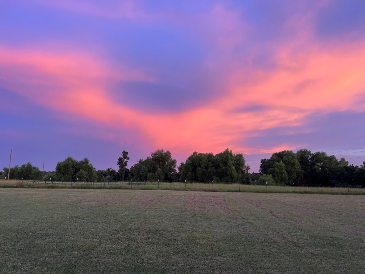 More Spontaneous Spontaneity