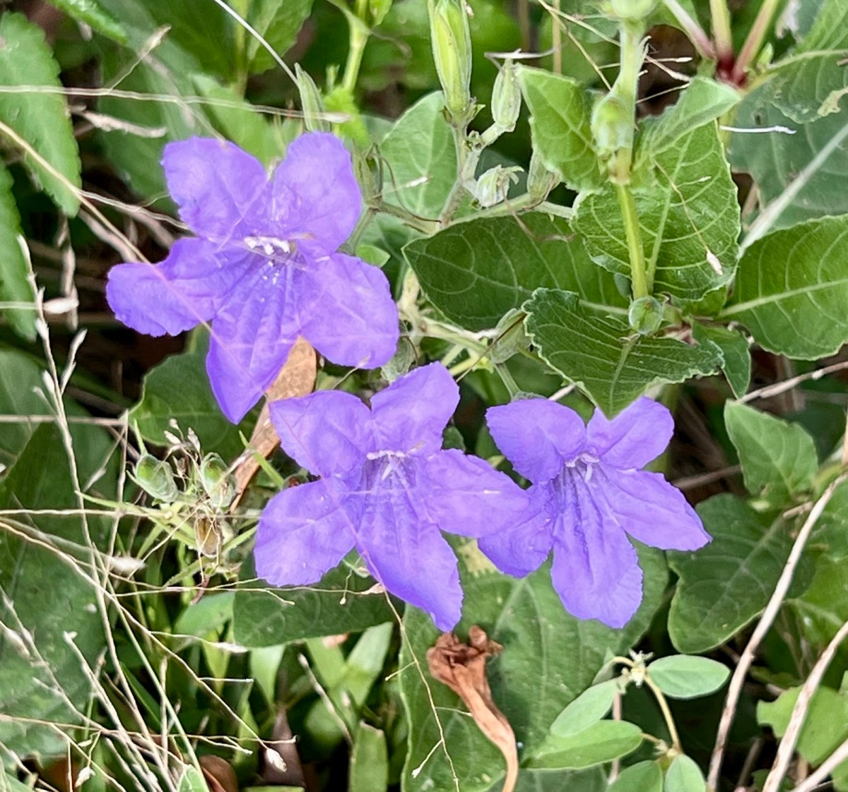 Too Tired? Then Don’t&nbsp;Blog