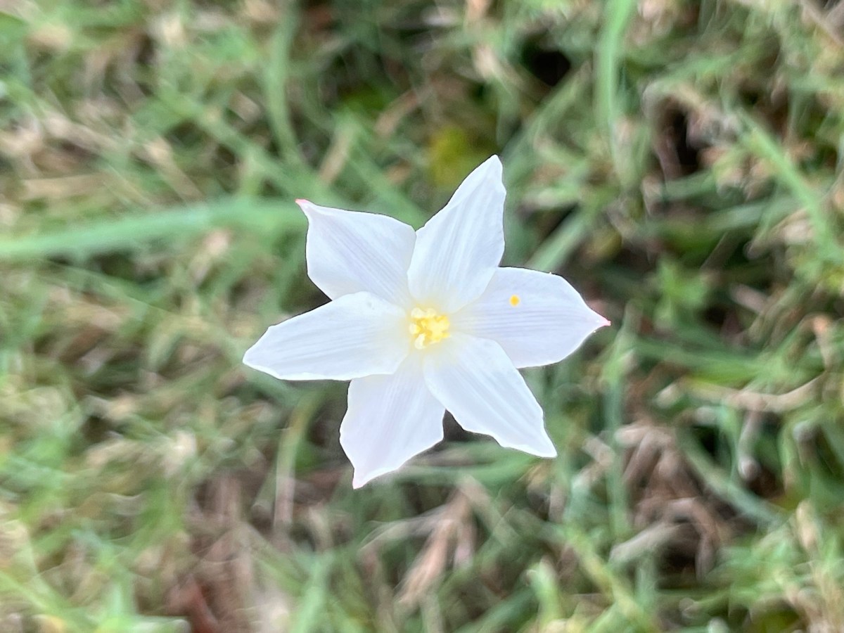 Human Bodies, So&nbsp;Frail