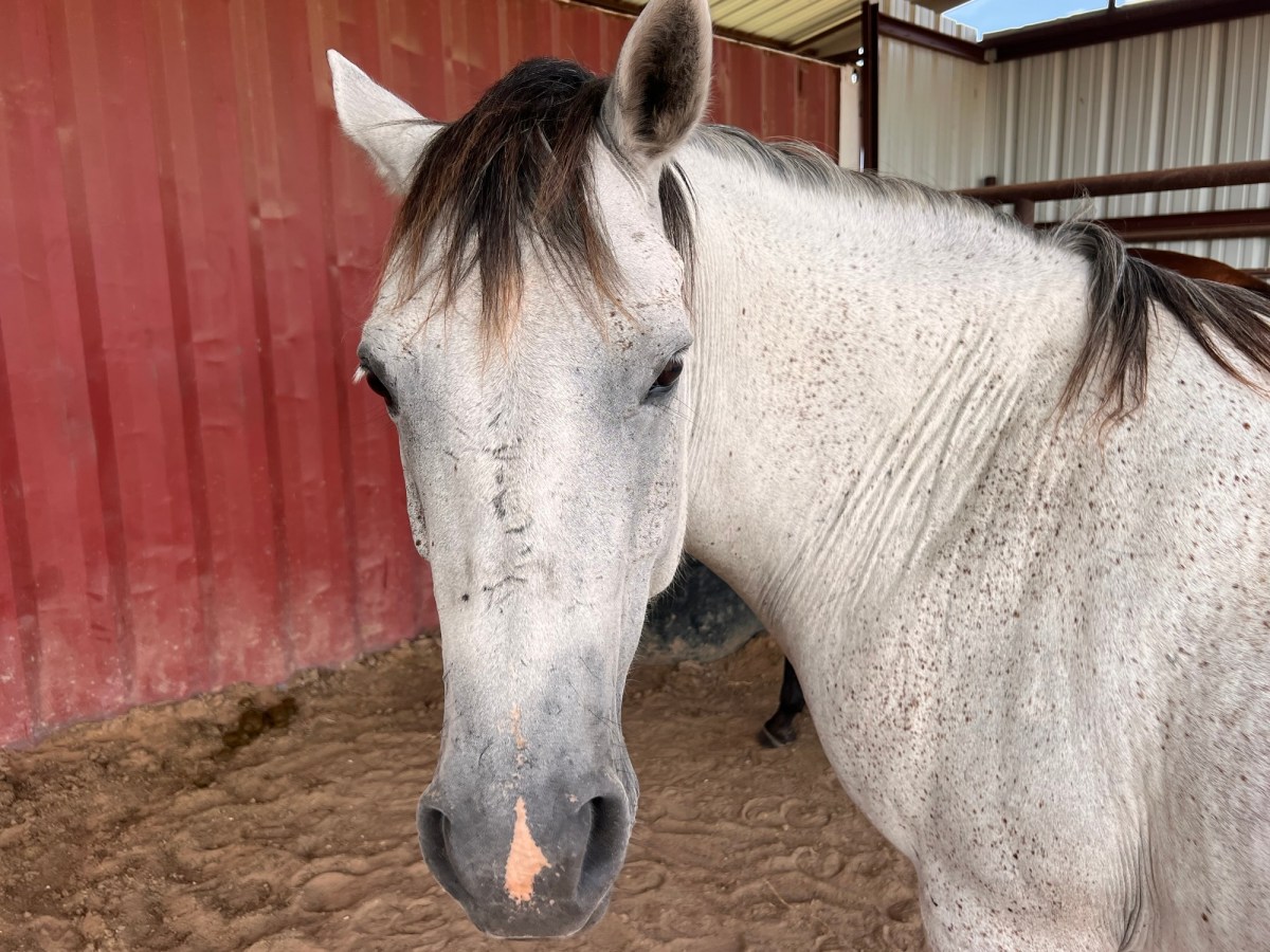 It’s Very Smooth around Here…the Bur Saga&nbsp;Continues