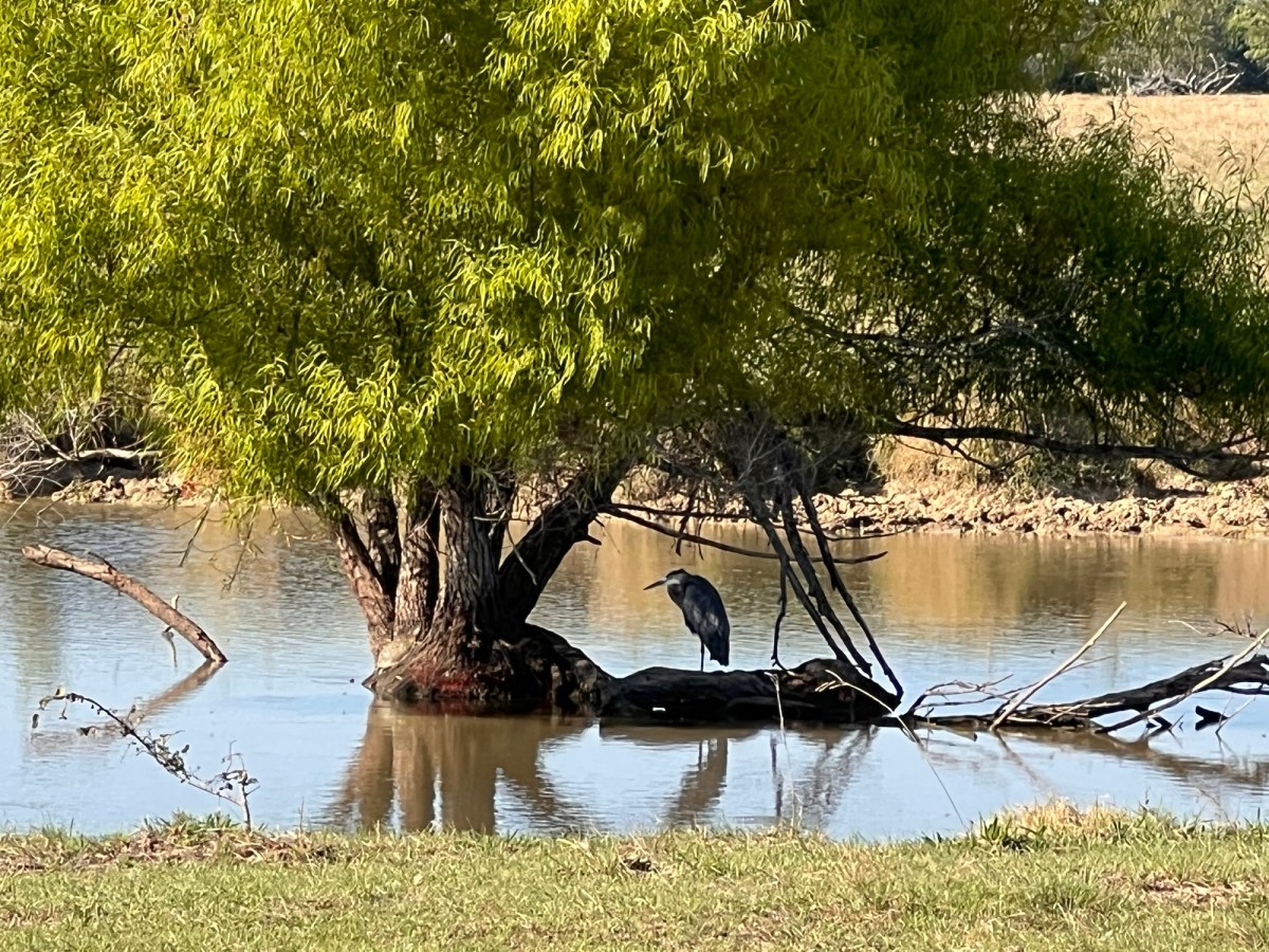 Here’s What I&nbsp;Think