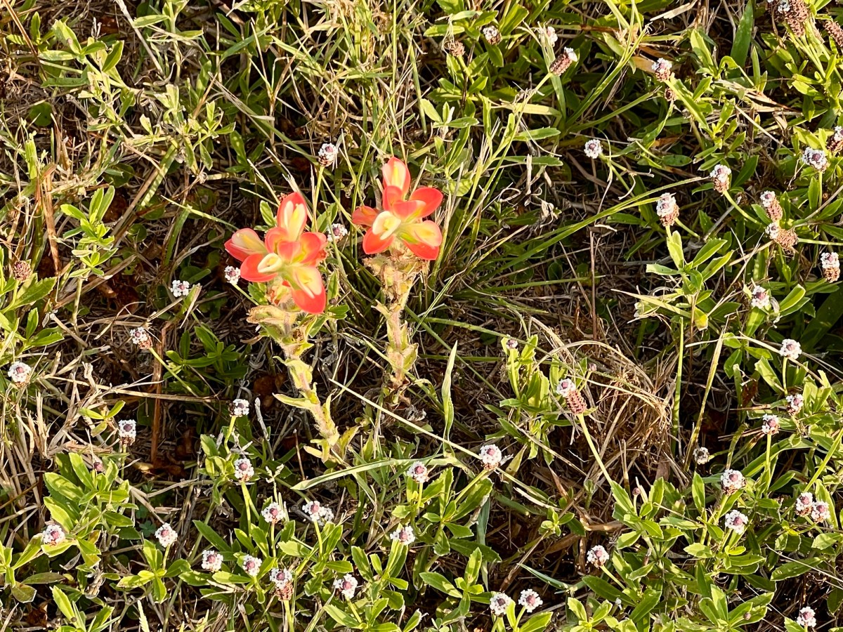 How Can You Cope in Today’s Troubled&nbsp;Times?