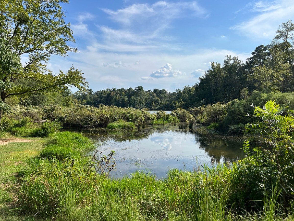 Small Concern, Big&nbsp;Happiness