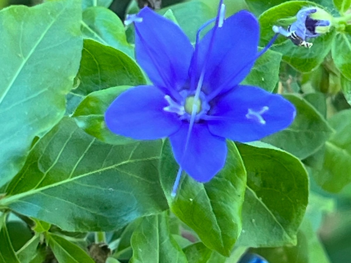 Bonus Post: Camping&nbsp;Photos