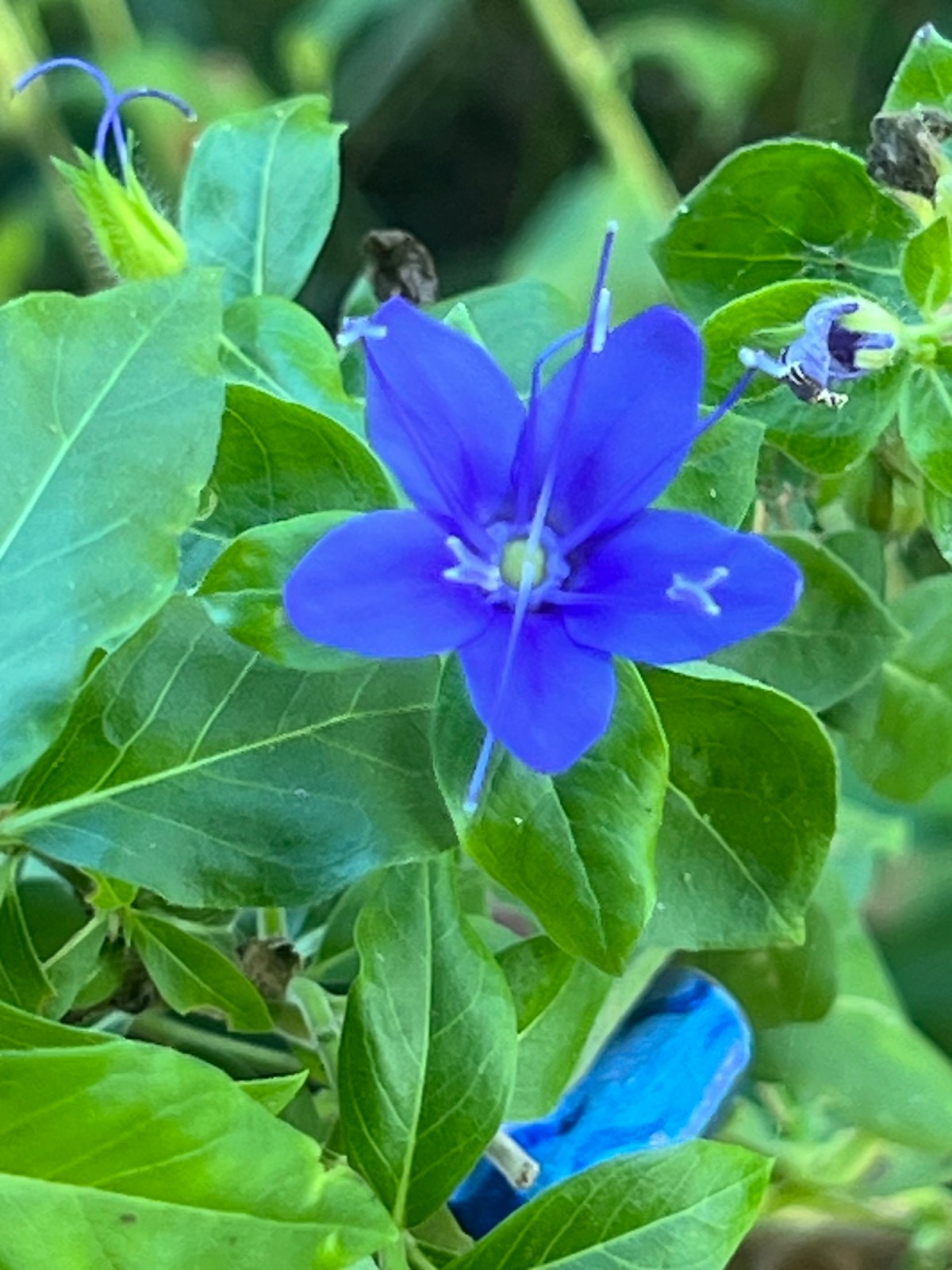 Bonus Post: Camping&nbsp;Photos