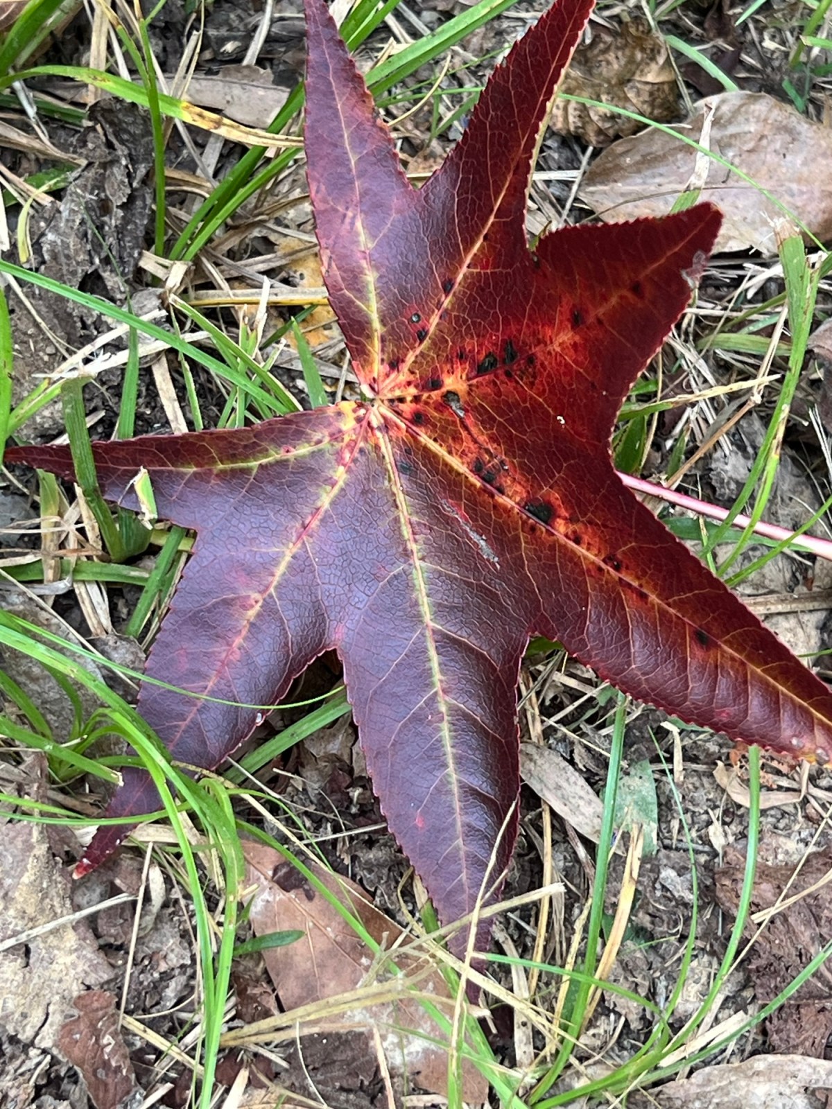 Anything Good to Say&nbsp;Today?