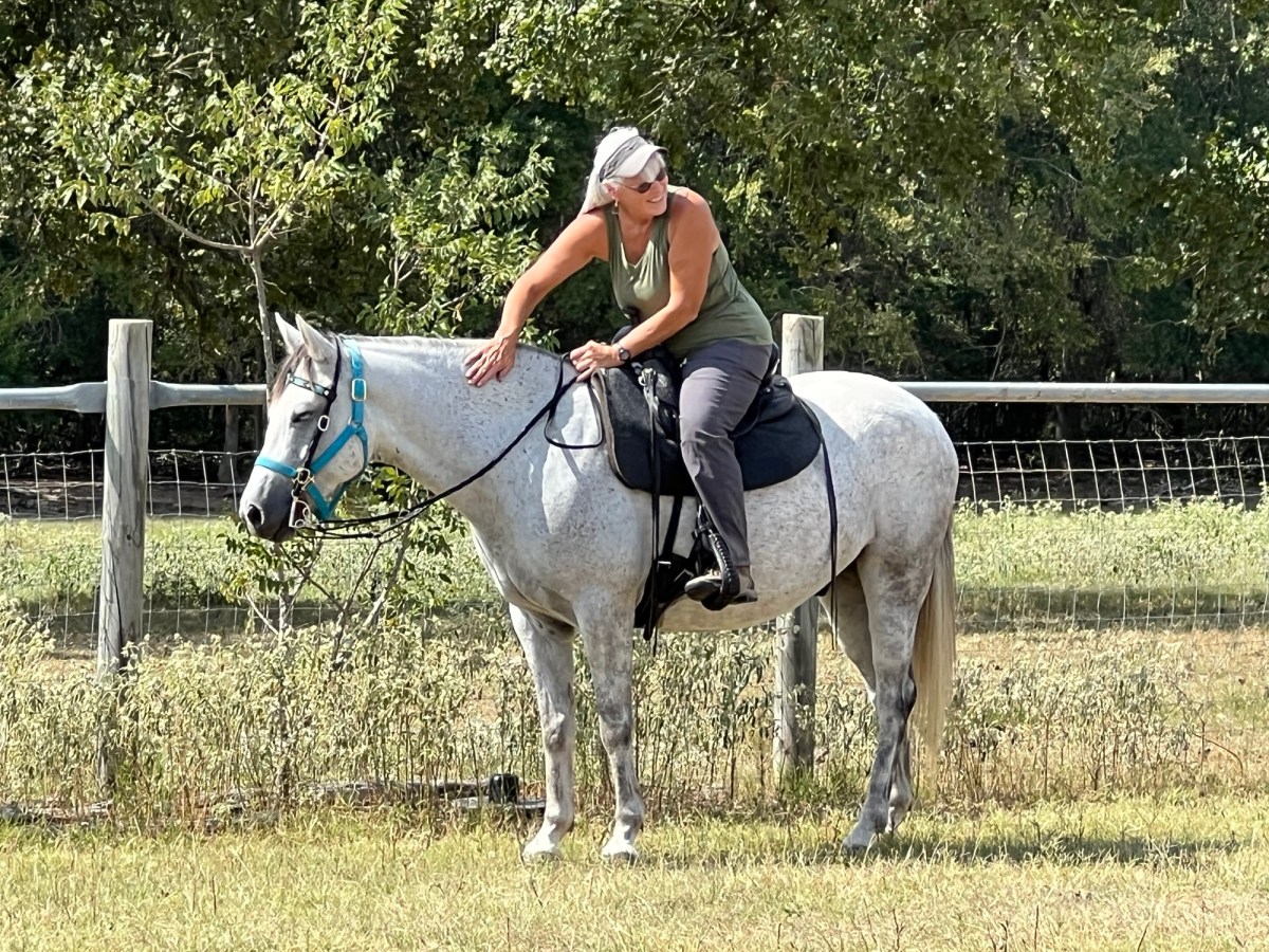 Sweating Like a&nbsp;Horse