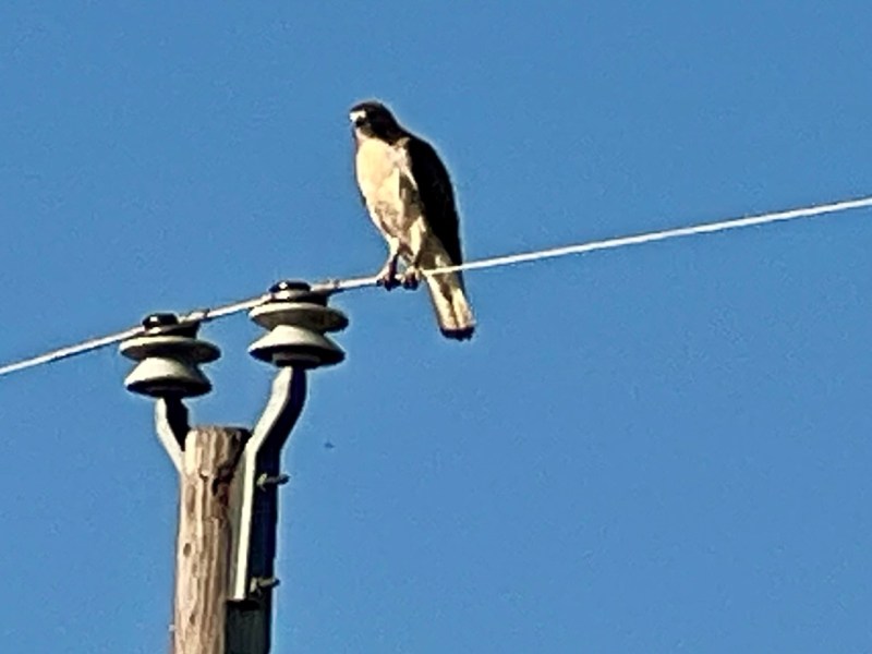 Everyone Needs a&nbsp;Today