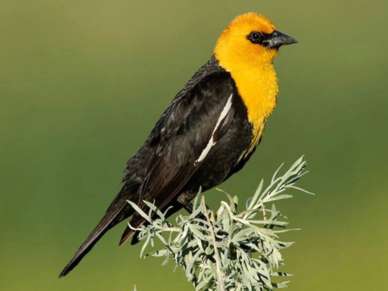 Geeking Out Over Sound&nbsp;Patterns