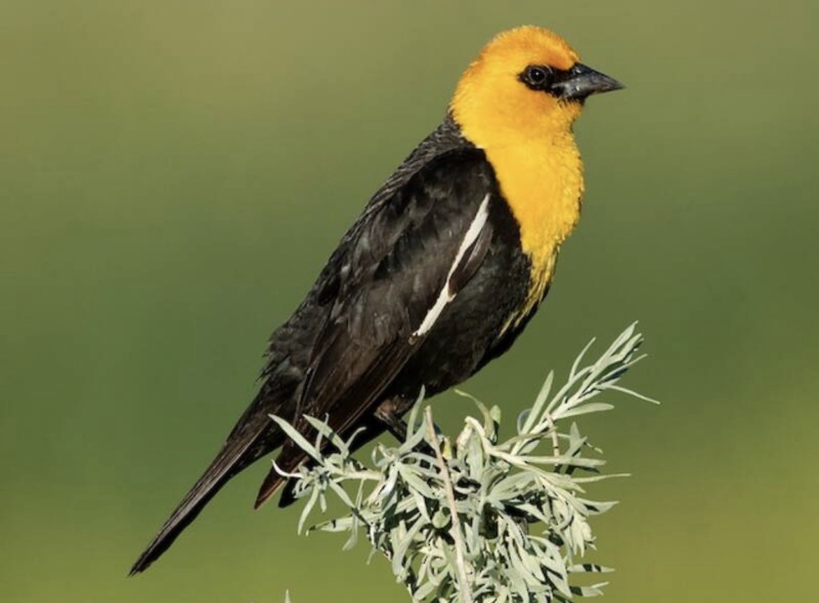 Geeking Out Over Sound&nbsp;Patterns