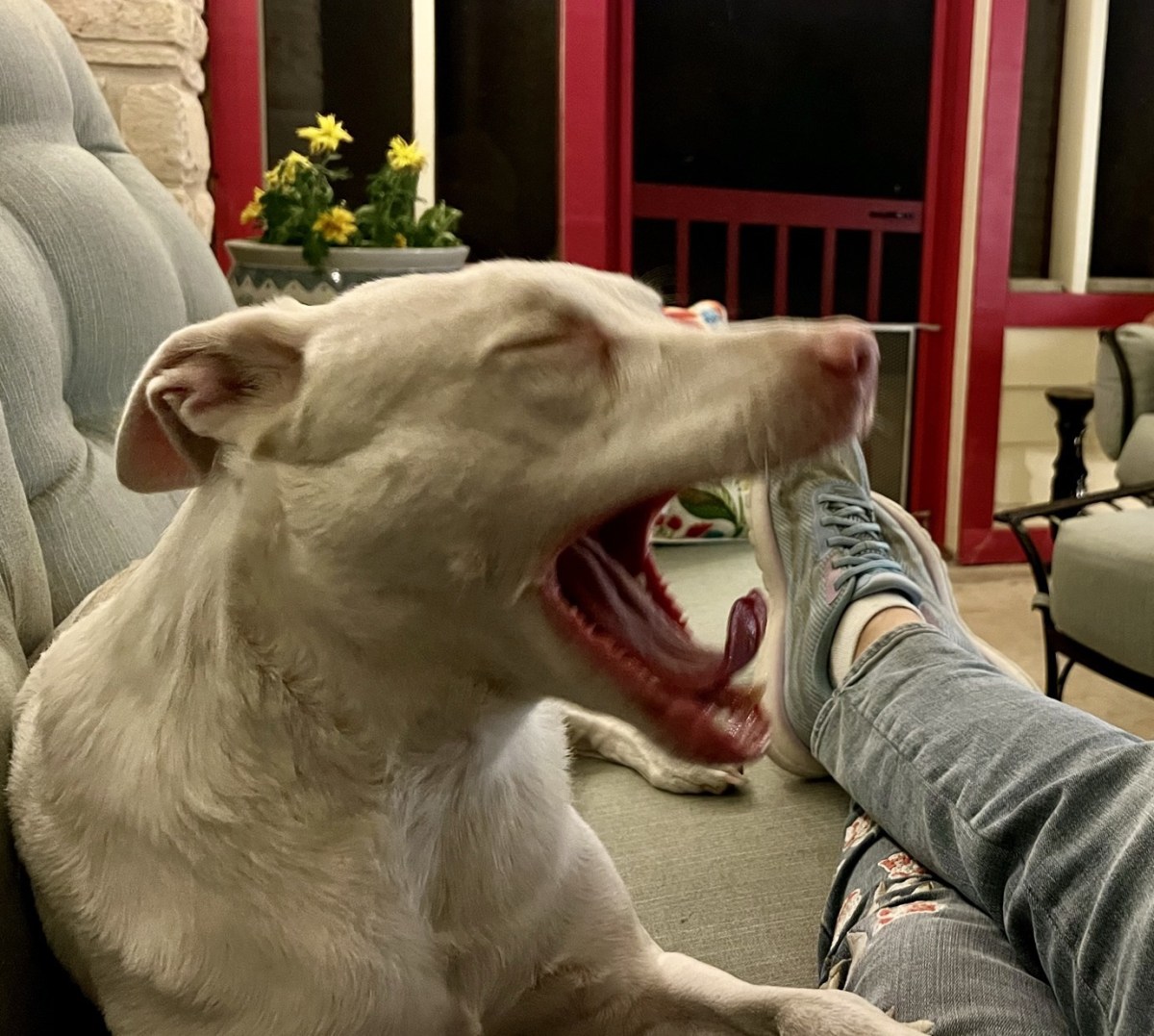 Appreciate Your Community