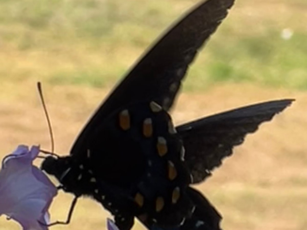 I’m a Very Dull&nbsp;Person