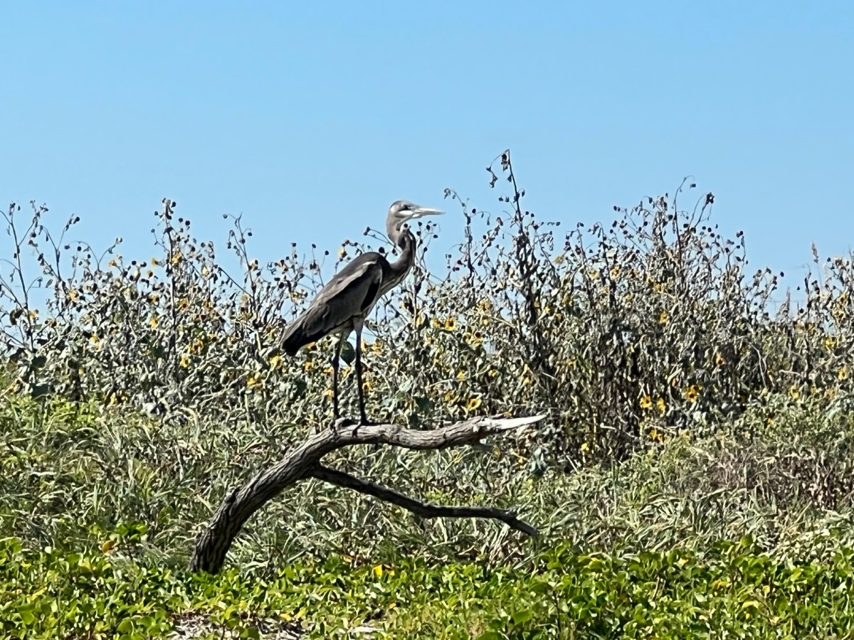 Spontaining All Over&nbsp;Texas