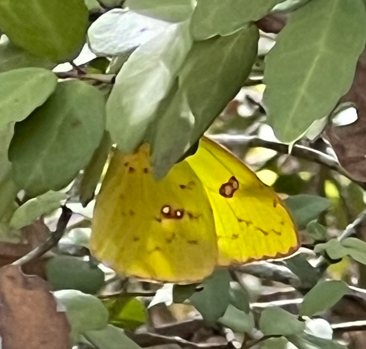 You Know I’m an Introvert,&nbsp;Right?