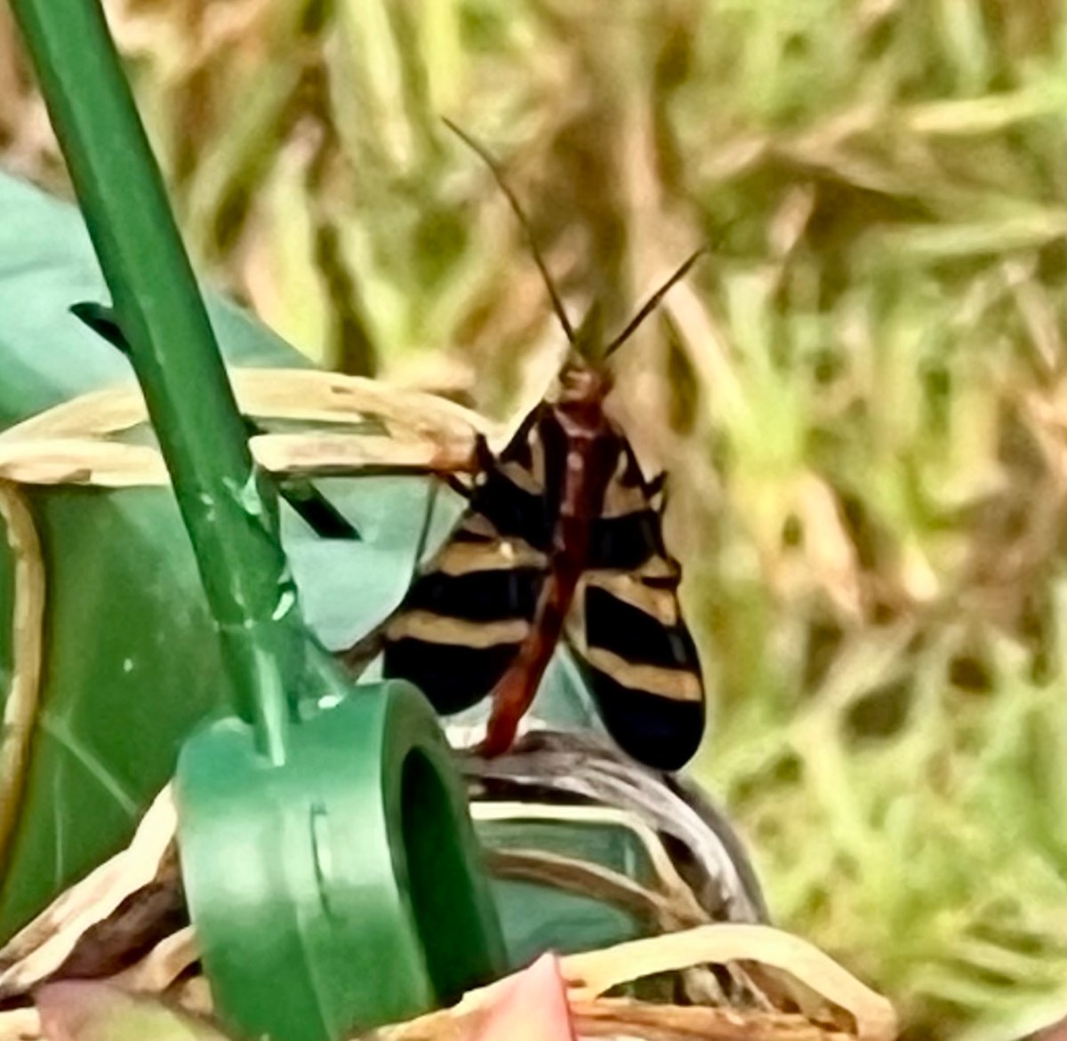 Happy to Stay Right&nbsp;Here