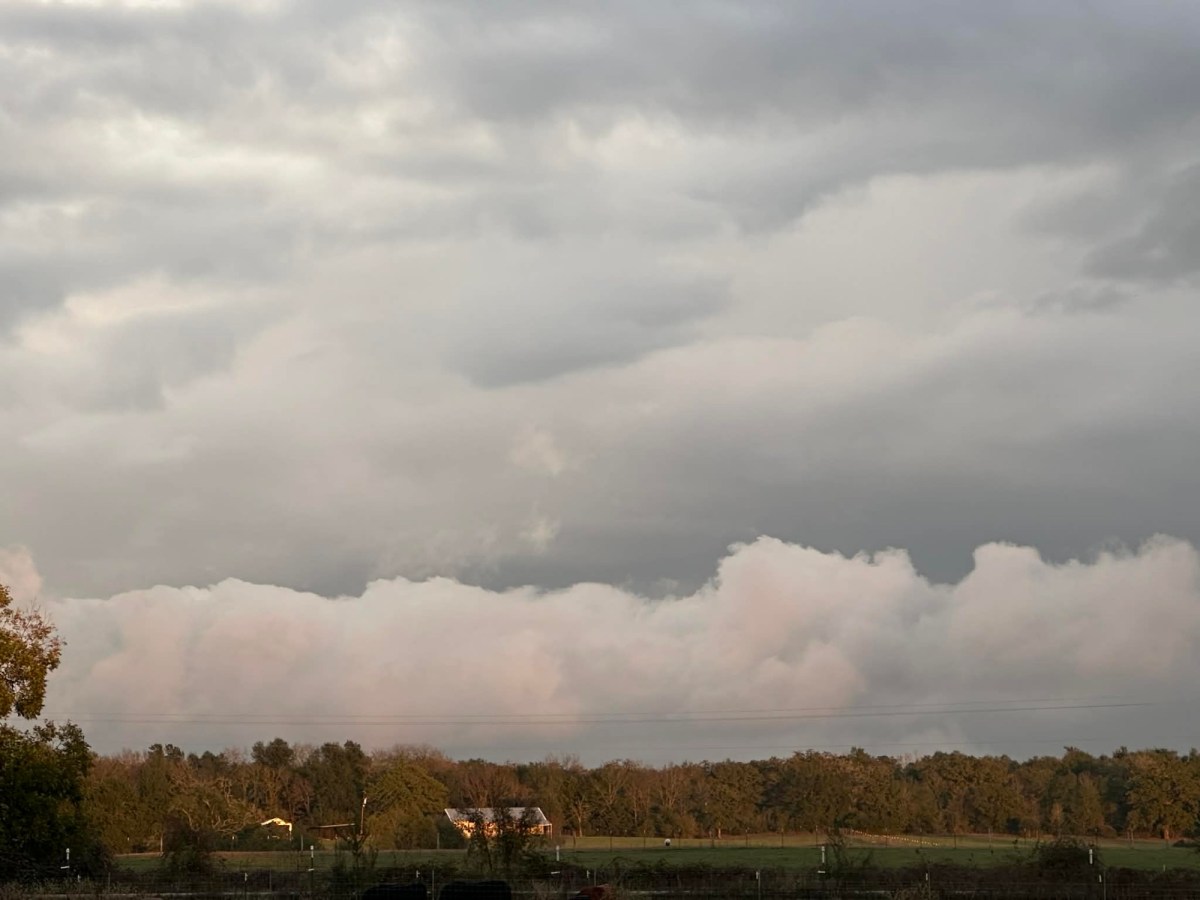 Errands Did Me&nbsp;In