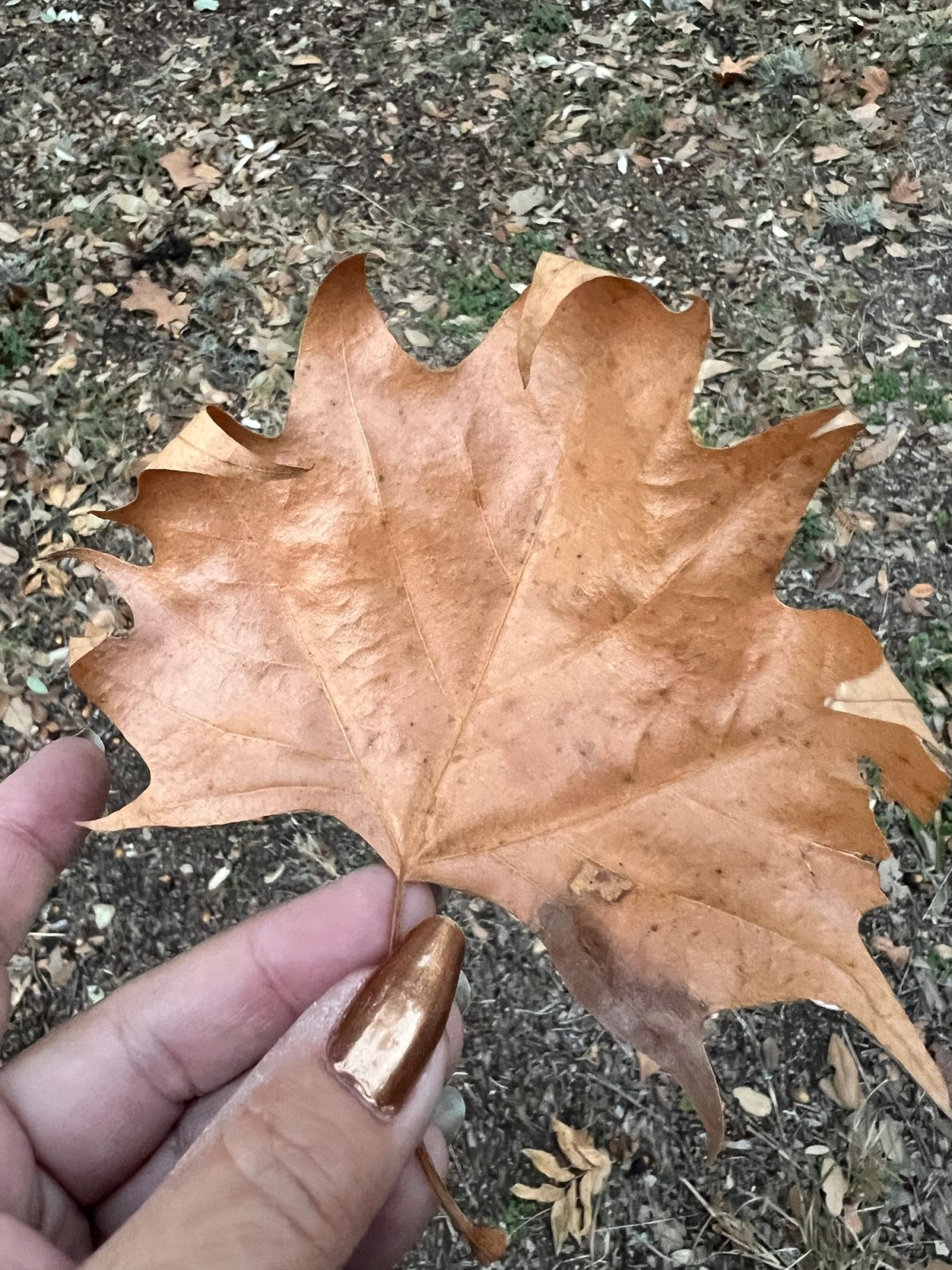 My Weird Relationship with&nbsp;Screens