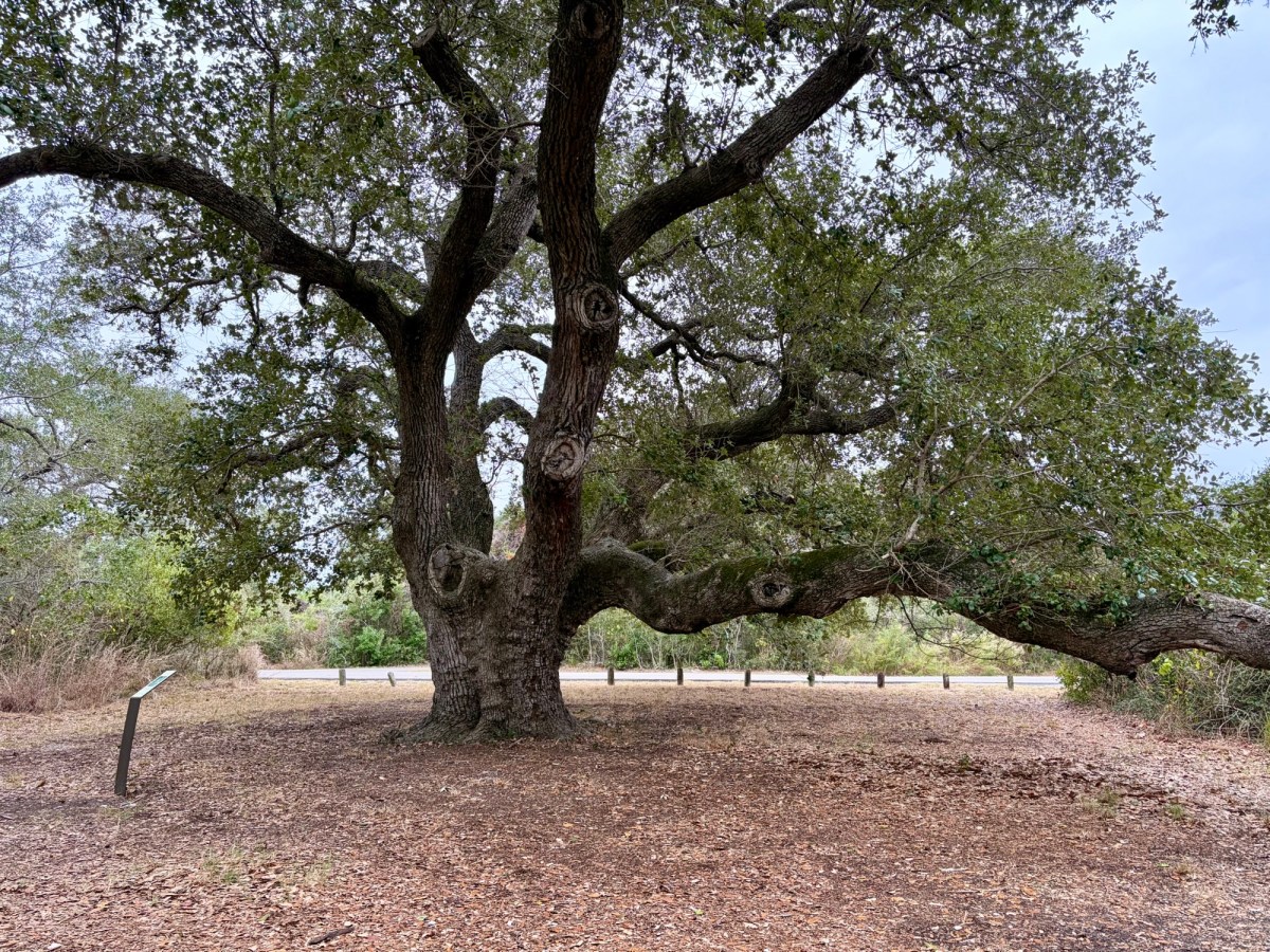 That Windblown Look Isn’t Fun to&nbsp;Get