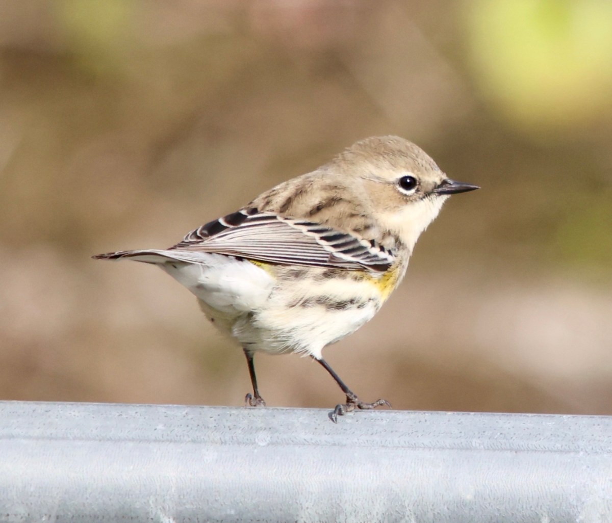 Feeling gratitudinal