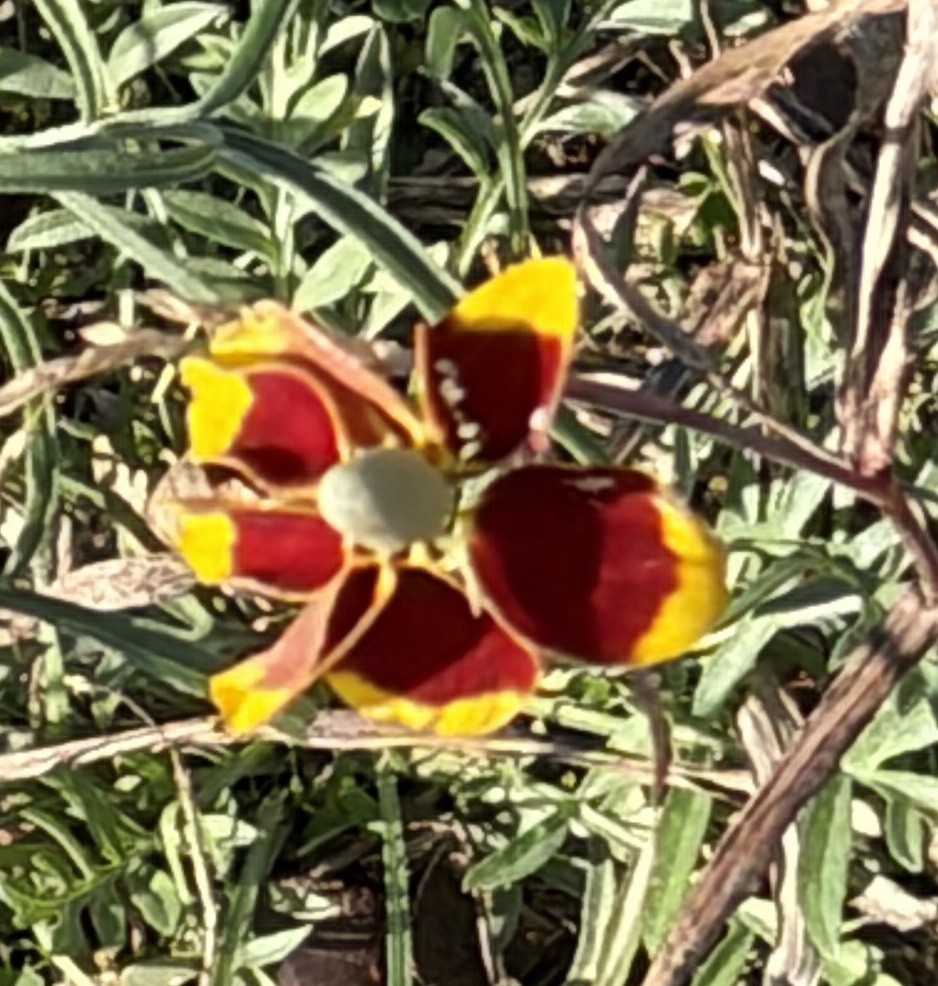 A Bit of a&nbsp;Lull