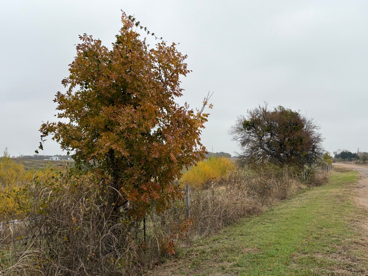 Let’s Enjoy Late&nbsp;Autumn