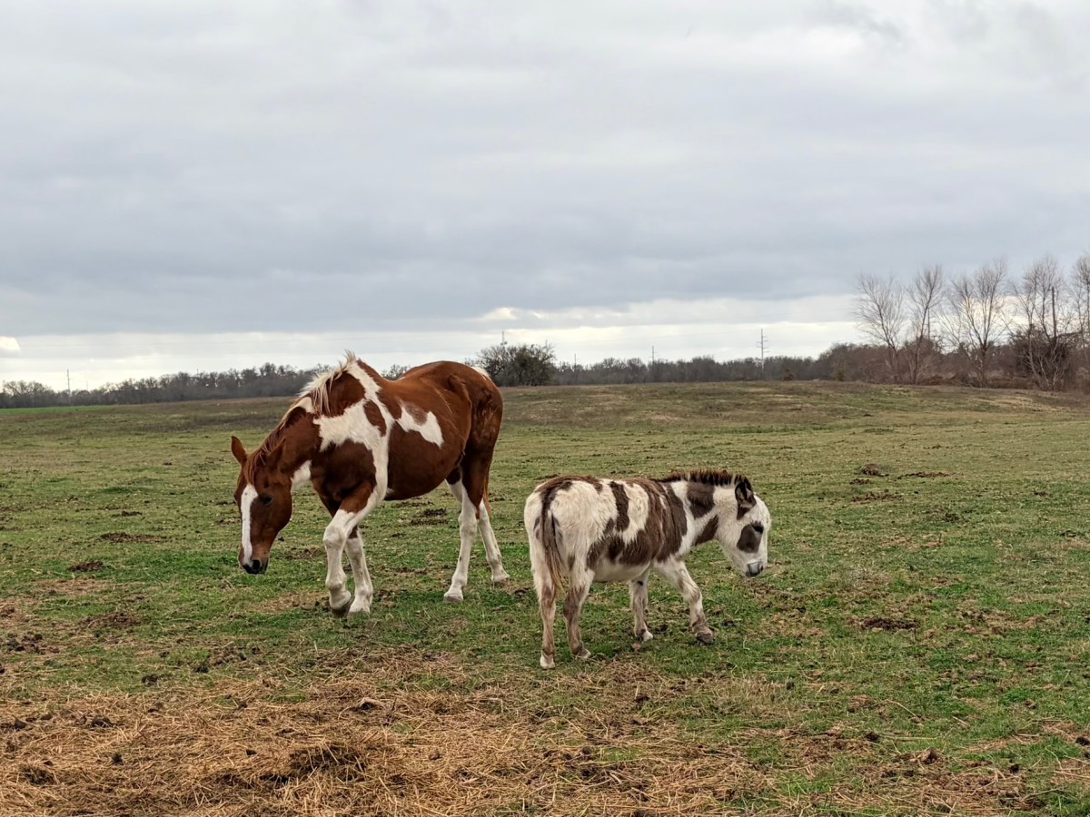 Good Things Balanced by a&nbsp;Passing