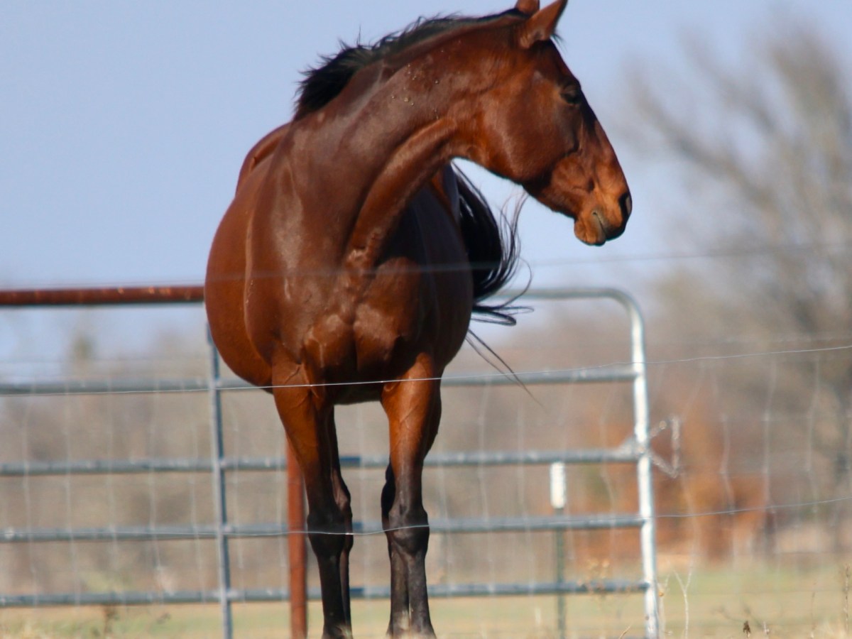 Solstice Weekend Day of&nbsp;Peace