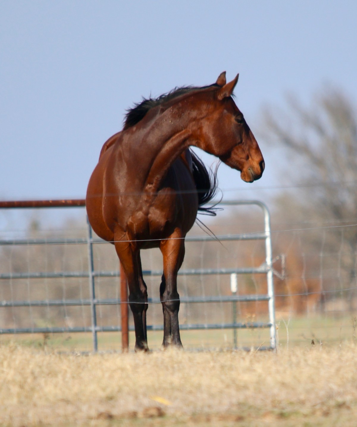 Solstice Weekend Day of&nbsp;Peace