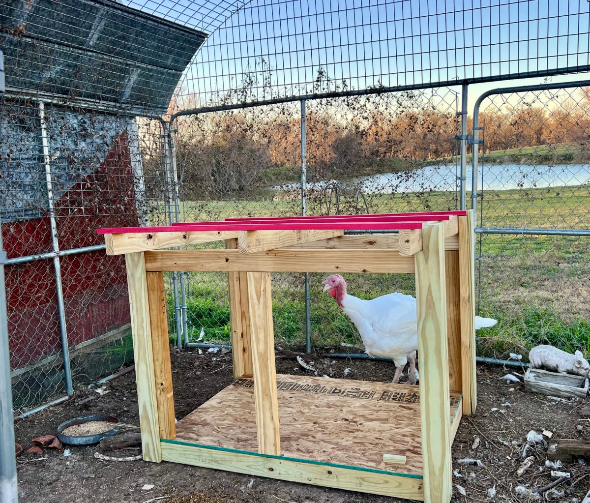 Happy Turkey, Grateful&nbsp;Human