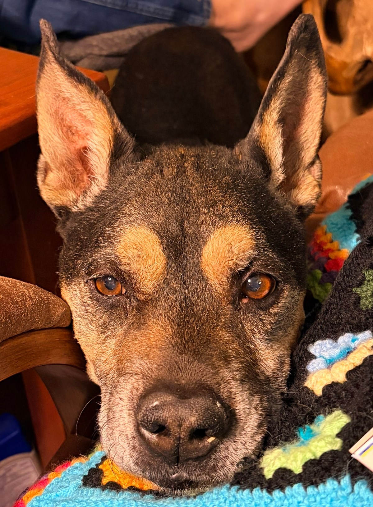 Things That Make You&nbsp;Unpopular