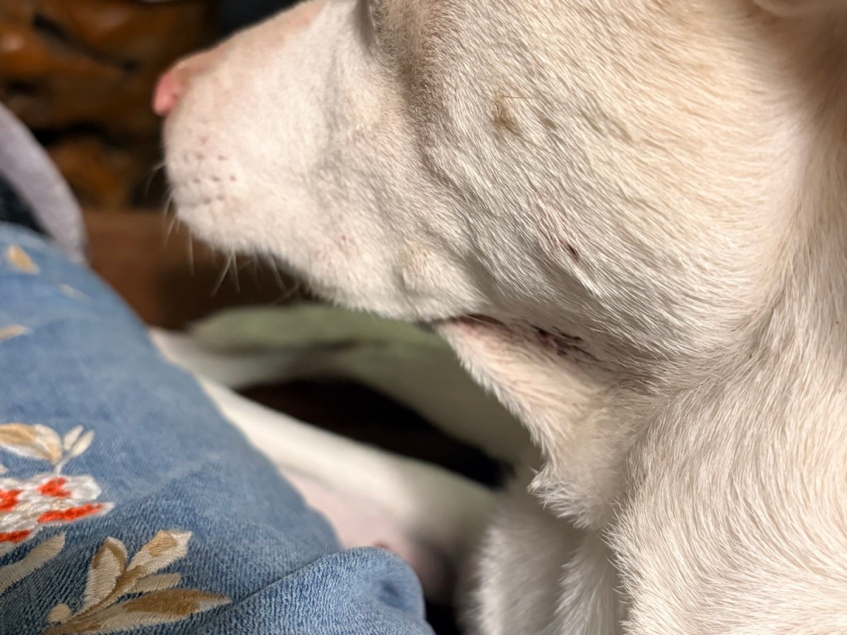 The Day DID Get&nbsp;Better