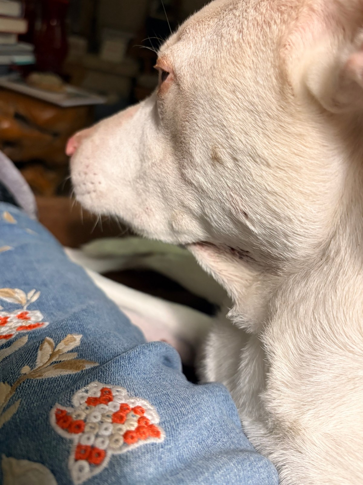 The Day DID Get&nbsp;Better