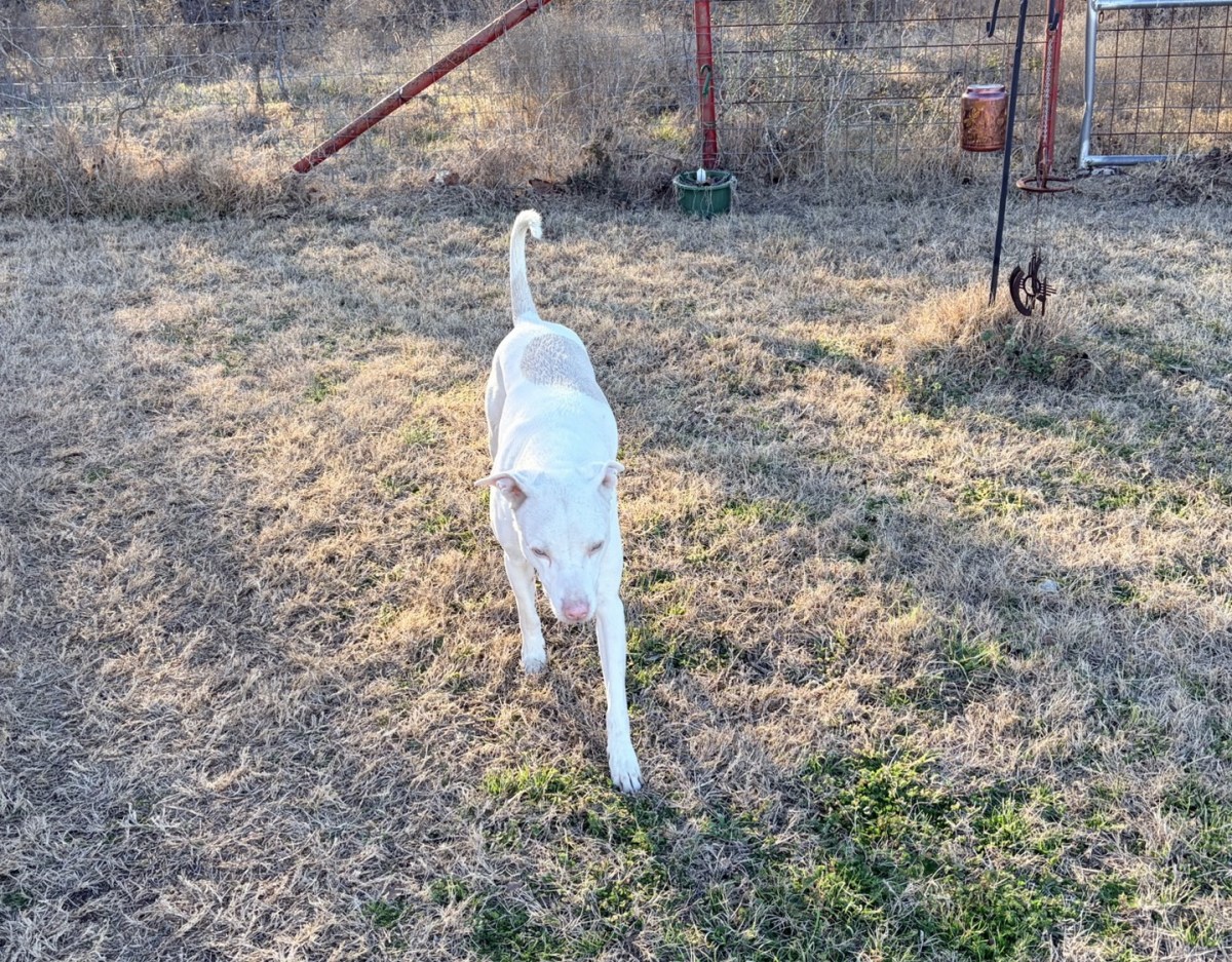 You Have to&nbsp;Laugh