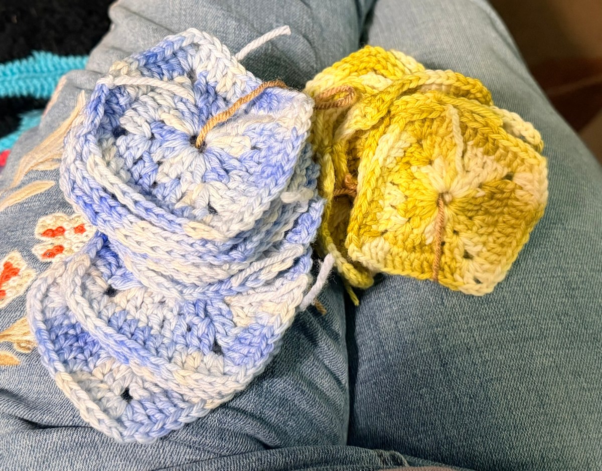 I Have a Phone Camera&nbsp;Again