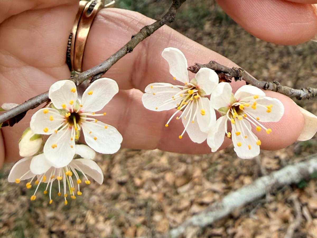 It’s My Favorite Week of the&nbsp;Year