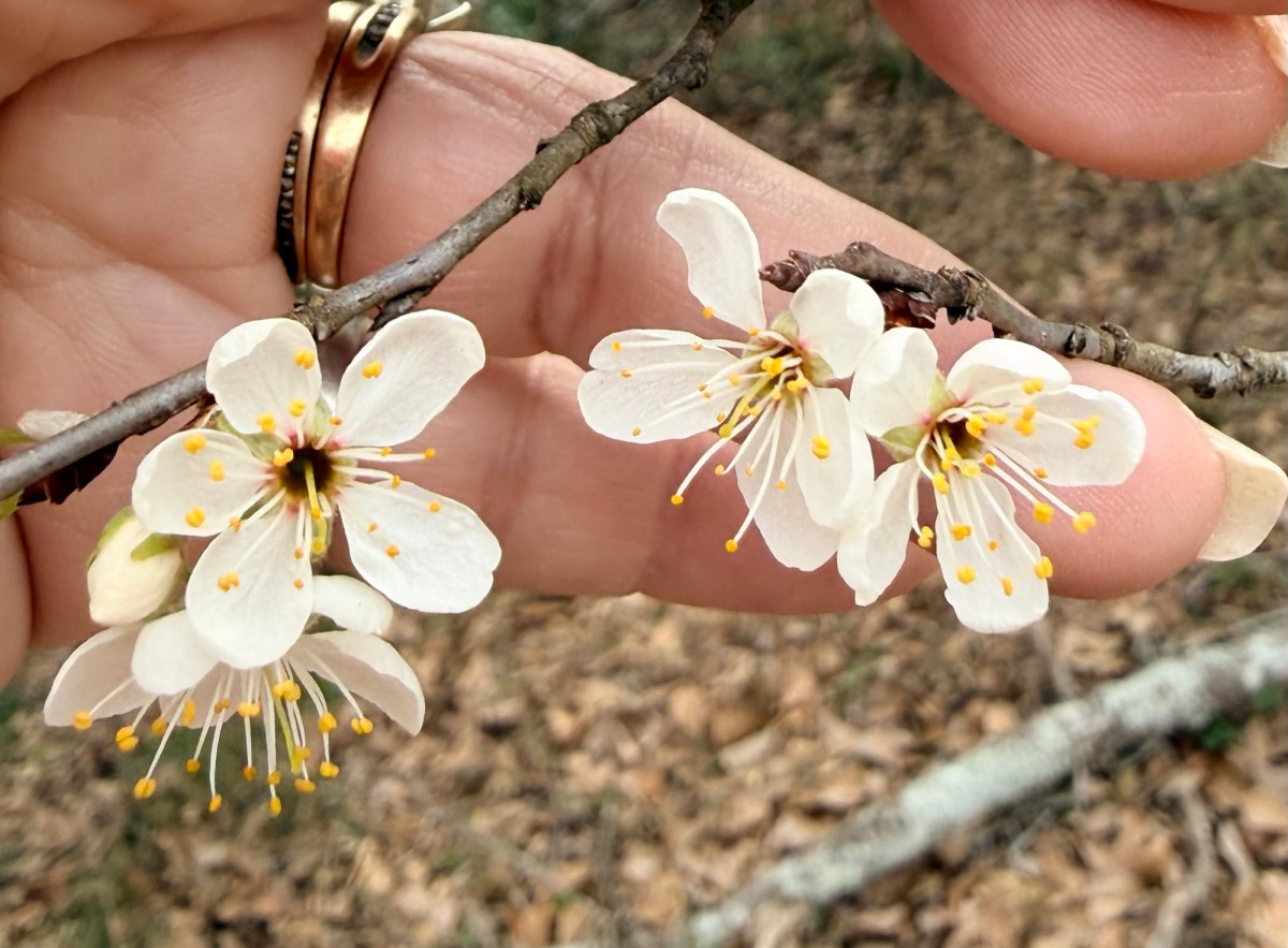 It’s My Favorite Week of the&nbsp;Year