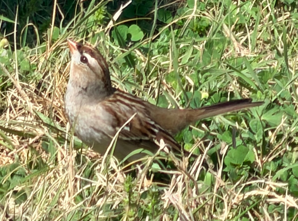 Survived! I’m an Hour Away from&nbsp;Home!