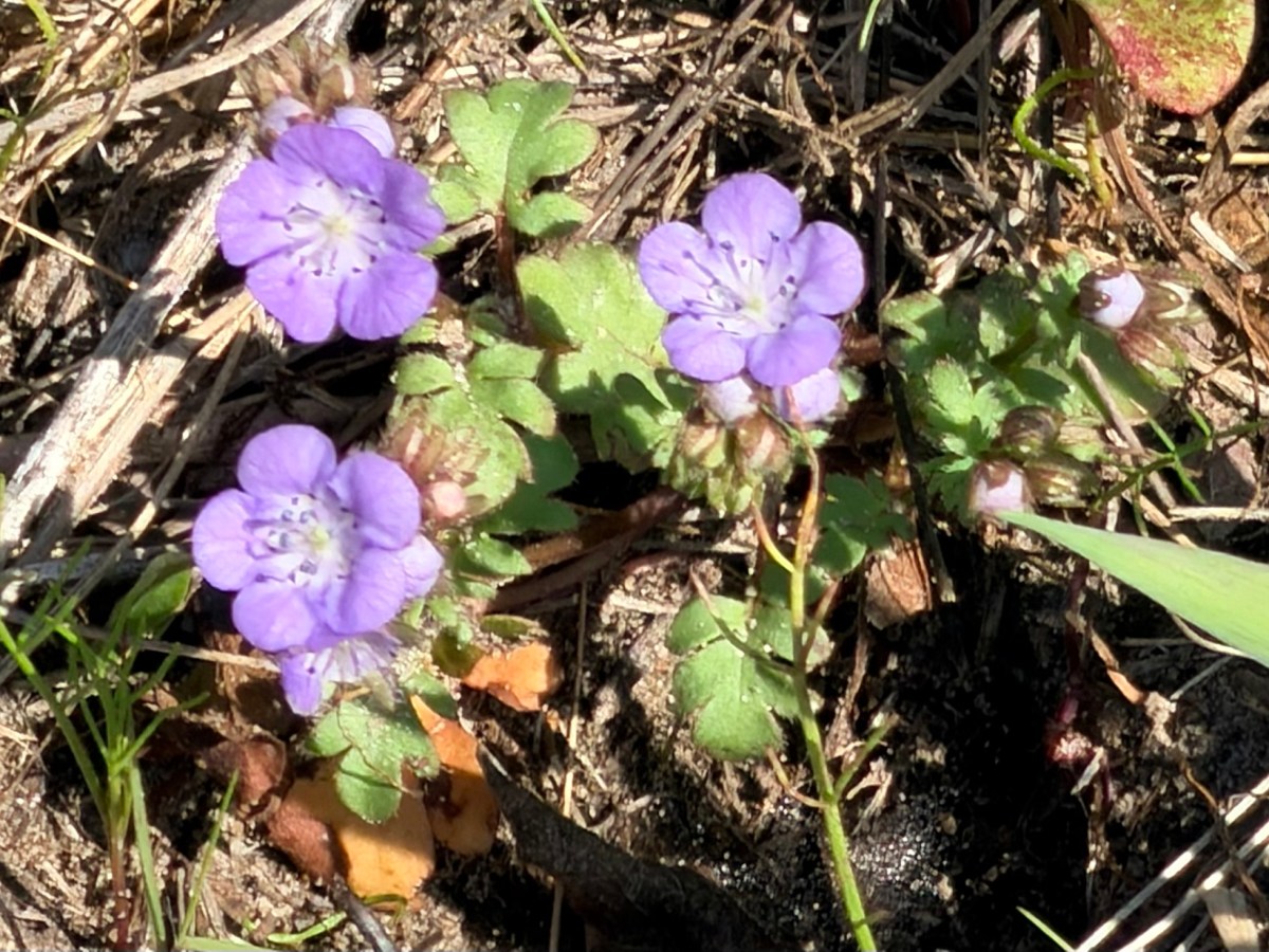 A Beautiful Day if You Ignore Current&nbsp;Events