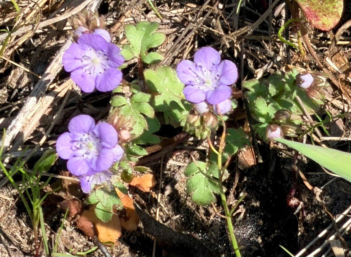 A Beautiful Day if You Ignore Current&nbsp;Events