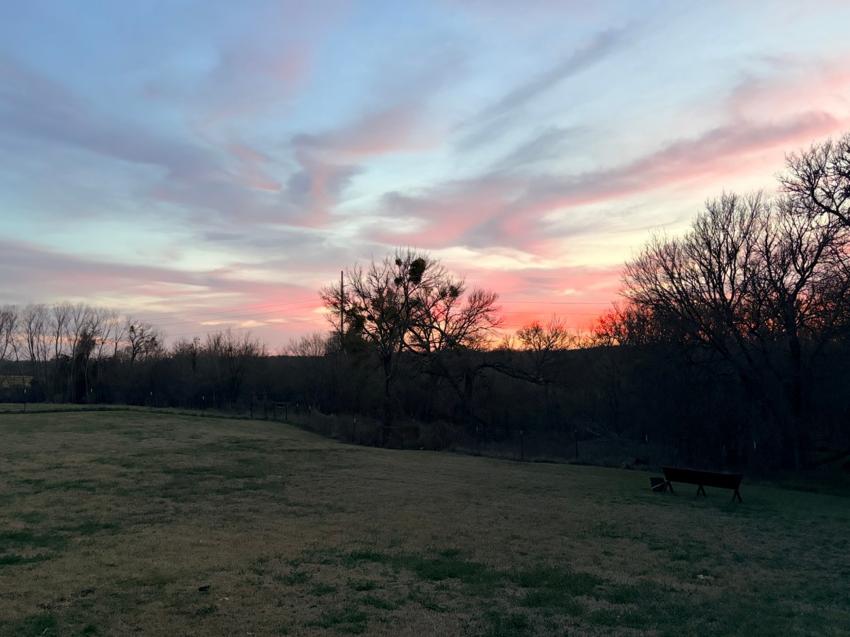 Pain in the&nbsp;Head