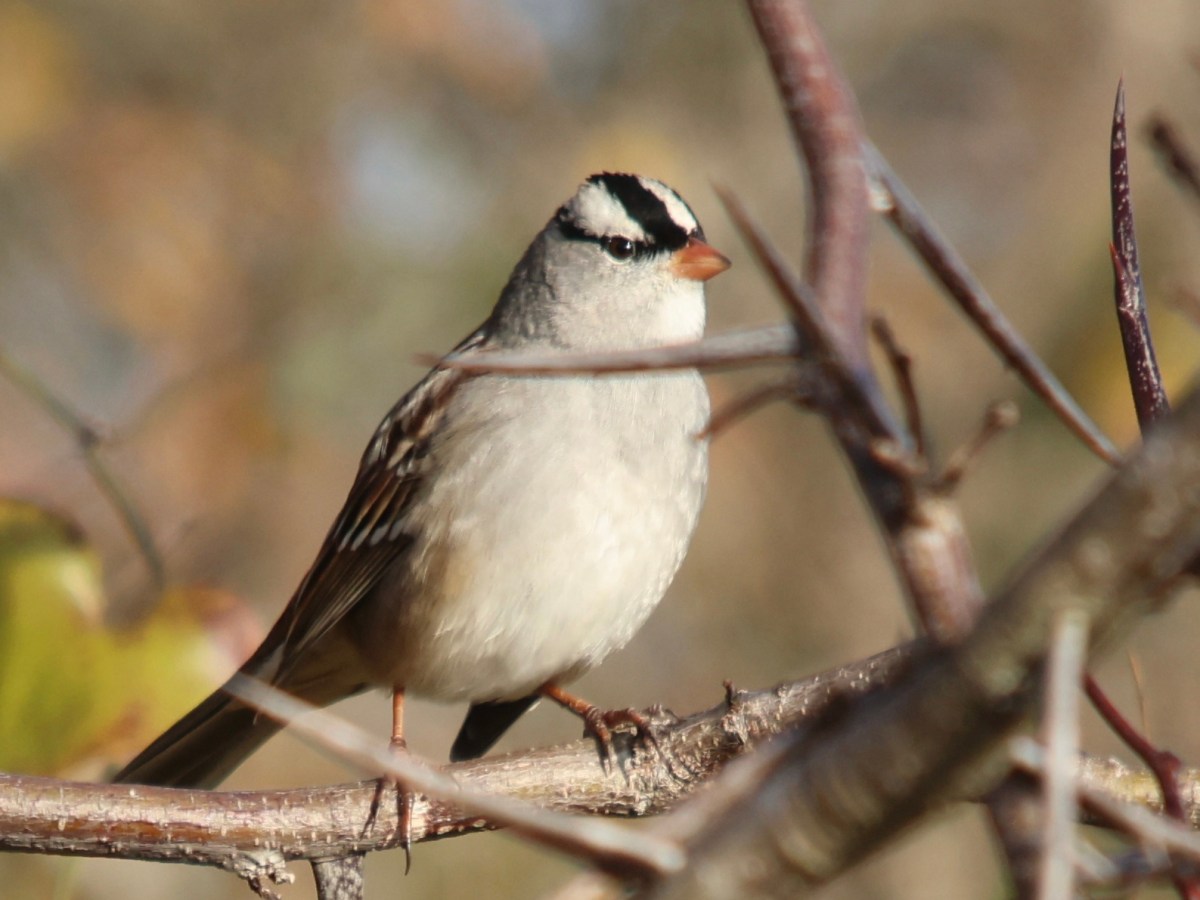 Encouraging News Tidbits