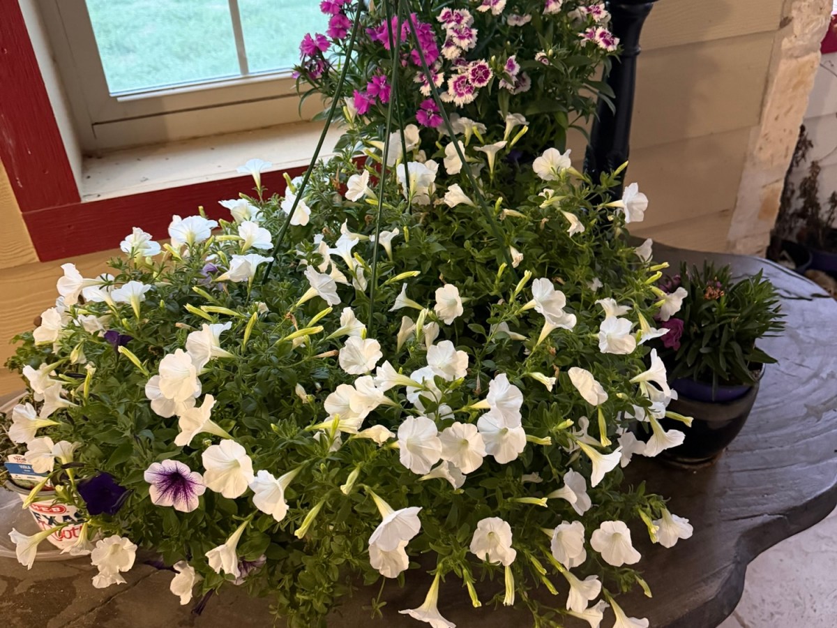 It’s Called Hump Day for a&nbsp;Reason