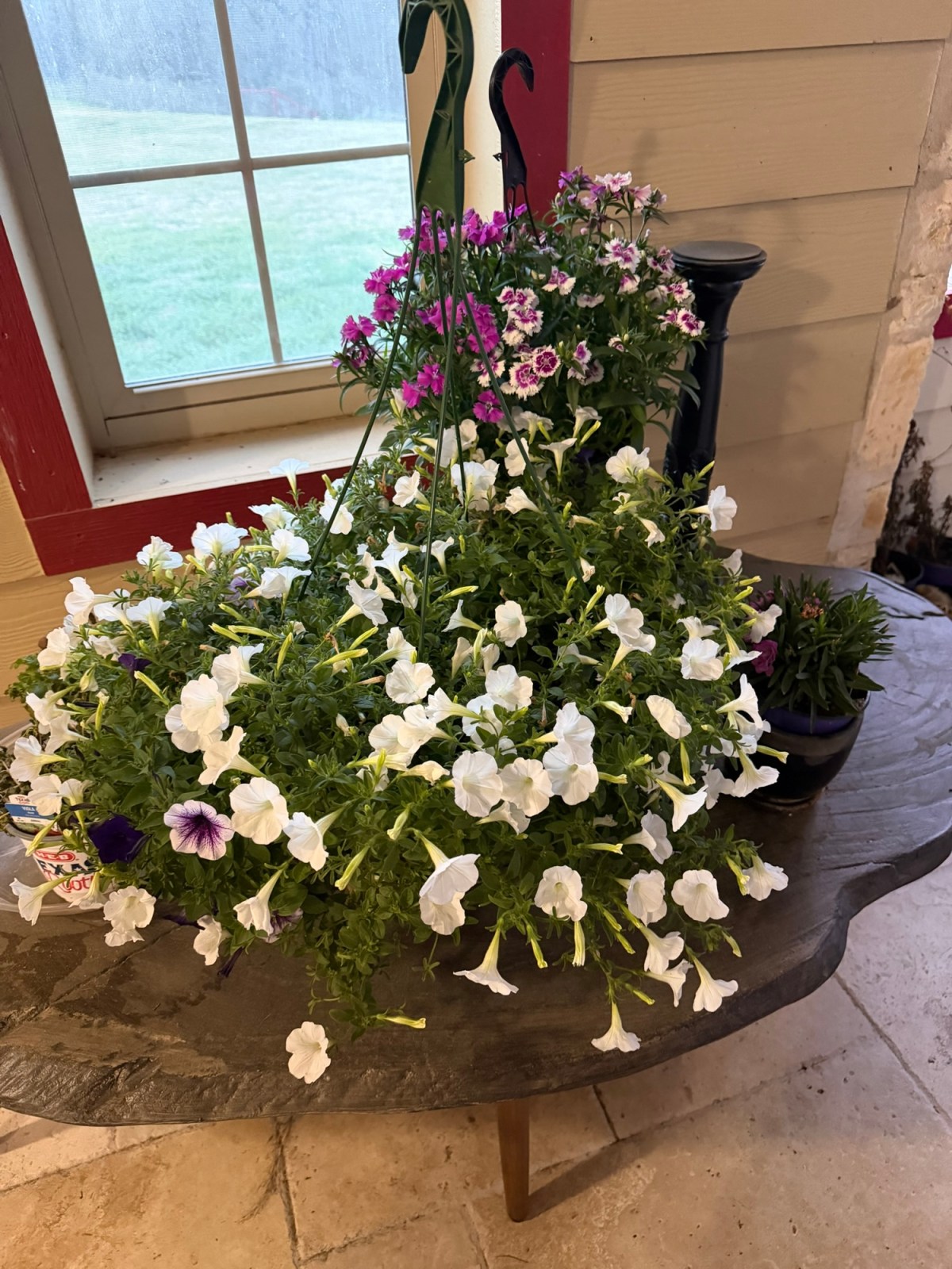 It’s Called Hump Day for a&nbsp;Reason